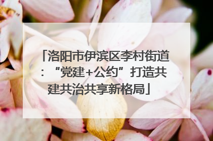 洛阳市伊滨区李村街道：“党建+公约”打造共建共治共享新格局
