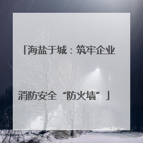 海盐于城：筑牢企业消防安全“防火墙”