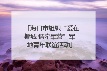 海口市组织“爱在椰城 情牵军营”军地青年联谊活动