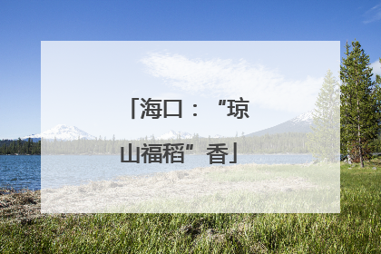 海口：“琼山福稻”香