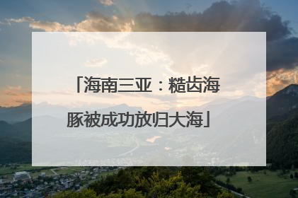 海南三亚：糙齿海豚被成功放归大海