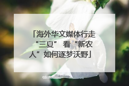海外华文媒体行走“三夏” 看“新农人”如何逐梦沃野