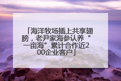 海洋牧场插上共享翅膀，老尹家海参认养“一亩海”累计合作近200企业客户