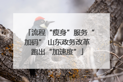 流程“瘦身”服务“加码” 山东政务改革跑出“加速度”