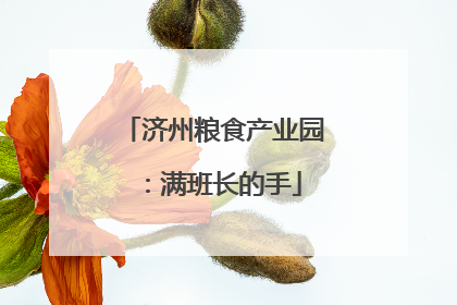 济州粮食产业园：满班长的手