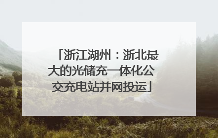 浙江湖州：浙北最大的光储充一体化公交充电站并网投运