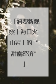 消费新观察丨海口火山岩上的“甜蜜经济”