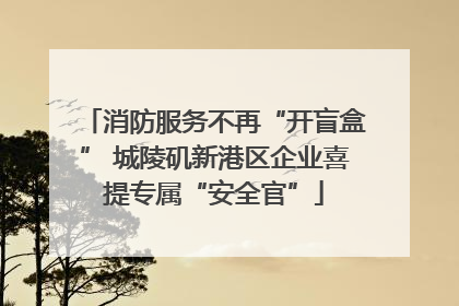 消防服务不再“开盲盒” 城陵矶新港区企业喜提专属“安全官”