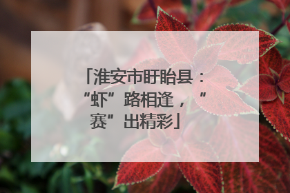 淮安市盱眙县：“虾”路相逢，“赛”出精彩