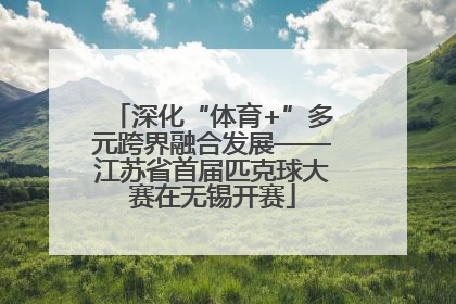 深化“体育+”多元跨界融合发展——江苏省首届匹克球大赛在无锡开赛