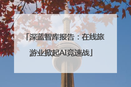 深蓝智库报告：在线旅游业掀起AI竞速战