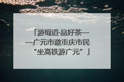 游蜀道·品好茶——广元市邀重庆市民“坐高铁游广元”