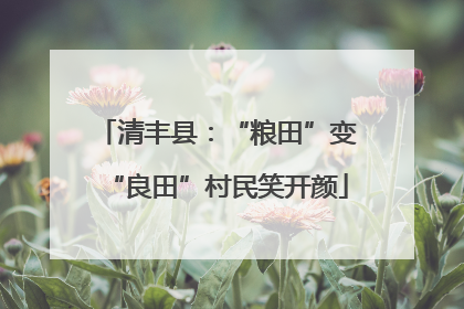 清丰县：“粮田”变“良田”村民笑开颜