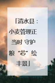 清水县：小麦管理正当时 守护粮“芯”绘丰景