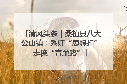 清风头条｜桑植县八大公山镇：系好“思想扣” 走稳“青廉路”