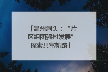 温州洞头：“片区组团强村发展”探索共富新路