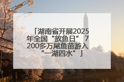 湖南省开展2025年全国“放鱼日” 7200多万尾鱼苗游入“一湖四水”