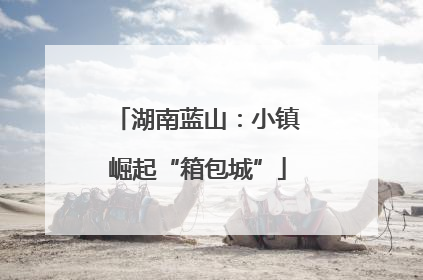 湖南蓝山：小镇崛起“箱包城”