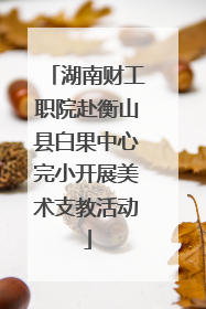 湖南财工职院赴衡山县白果中心完小开展美术支教活动