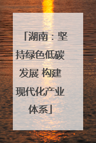 湖南：坚持绿色低碳发展 构建现代化产业体系
