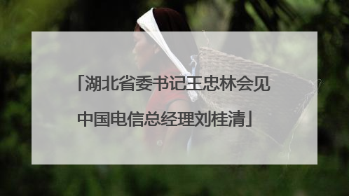 湖北省委书记王忠林会见中国电信总经理刘桂清