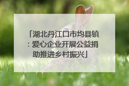 湖北丹江口市均县镇：爱心企业开展公益捐助推进乡村振兴