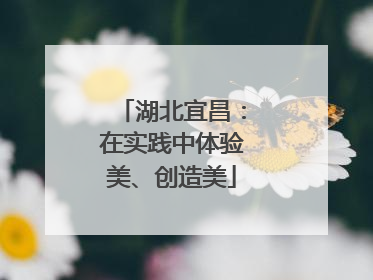 湖北宜昌：在实践中体验美、创造美