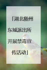 湖北随州东城派出所开展禁毒宣传活动