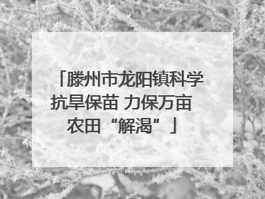 滕州市龙阳镇科学抗旱保苗 力保万亩农田“解渴”