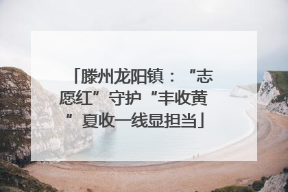 滕州龙阳镇：“志愿红”守护“丰收黄”夏收一线显担当
