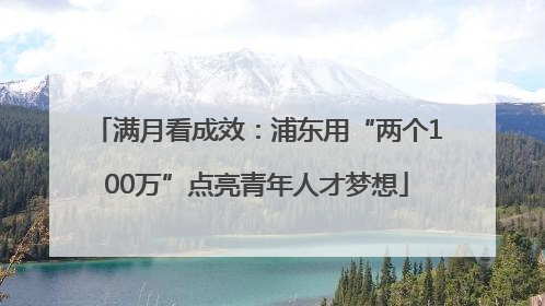 满月看成效：浦东用“两个100万”点亮青年人才梦想