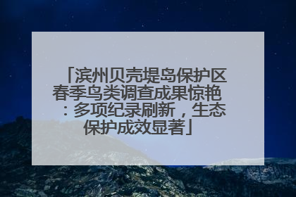 滨州贝壳堤岛保护区春季鸟类调查成果惊艳：多项纪录刷新，生态保护成效显著