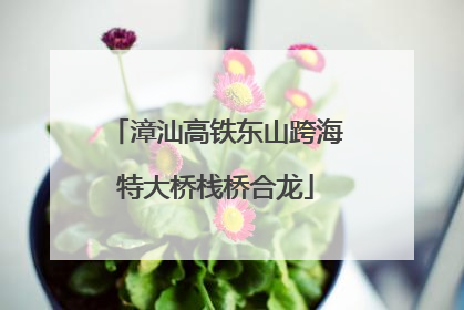 漳汕高铁东山跨海特大桥栈桥合龙