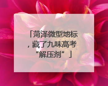 菏泽微型地标，藏了九味高考“解压剂”