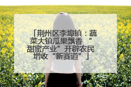 荆州区李埠镇：蔬菜大镇瓜果飘香 “甜蜜产业”开辟农民增收“新赛道”