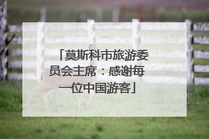 莫斯科市旅游委员会主席：感谢每一位中国游客