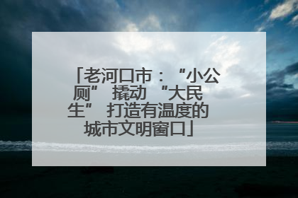 老河口市：“小公厕” 撬动 “大民生” 打造有温度的城市文明窗口