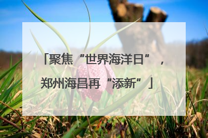 聚焦“世界海洋日”，郑州海昌再“添新”