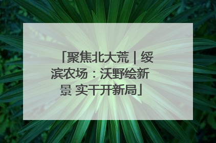 聚焦北大荒｜绥滨农场：沃野绘新景 实干开新局