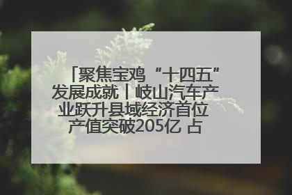 聚焦宝鸡“十四五”发展成就丨岐山汽车产业跃升县域经济首位 产值突破205亿 占规上工业75%