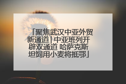 聚焦武汉中亚外贸新通道│中亚班列开辟双通道 哈萨克斯坦饲用小麦将抵鄂