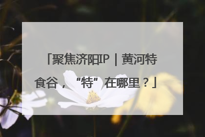 聚焦济阳IP｜黄河特食谷，“特”在哪里？
