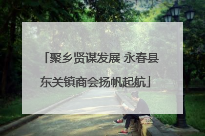 聚乡贤谋发展 永春县东关镇商会扬帆起航