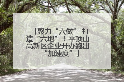 聚力“六做” 打造“六地”！平顶山高新区企业开办跑出“加速度”