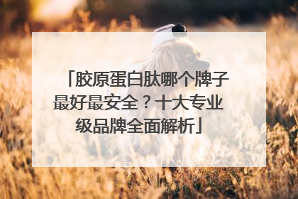 胶原蛋白肽哪个牌子最好最安全？十大专业级品牌全面解析
