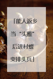 能人返乡当“头雁” 后进村蝶变排头兵