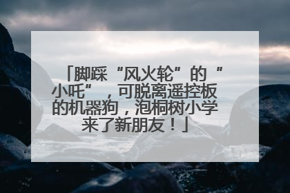 脚踩“风火轮”的“小吒”，可脱离遥控板的机器狗，泡桐树小学来了新朋友！
