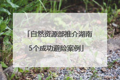 自然资源部推介湖南5个成功避险案例