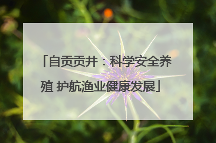 自贡贡井：科学安全养殖 护航渔业健康发展