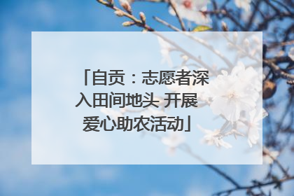 自贡：志愿者深入田间地头 开展爱心助农活动